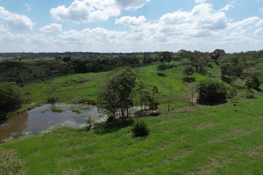 IMPLEMENTACIÓN DE ACCIONES SOSTENIBLES PARA RECUPERAR LAS ÁREAS AFECTADAS POR LA ACTIVIDAD ANTRÓPICA EN EL ÁREA DE INFLUENCIA DE LAS KUMPANIAS DEL PUEBLO RROM SAN PELAYO, SAHAGÚN Y ENVIGADO