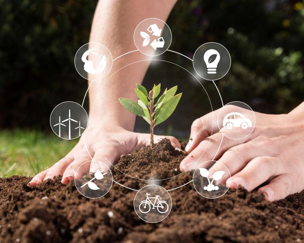 Sostenibilidad en la Agricultura: Caminos hacia una Producción más Ecológica y Rentable